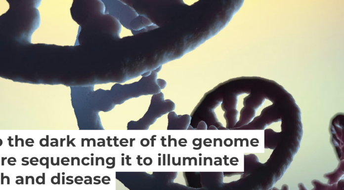 There is still a great deal unknown about RNA and its modifications. Christoph Burgstedt/Science Photo Library via Getty Images